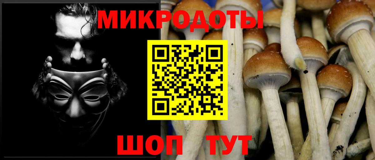 Галлюциногенные грибы прущие грибы  Галлюциногенные грибы ЛСД  Вход с VPN  Семёнов 
